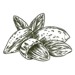 PRONUTS - Crema de frutos secos 100% natural