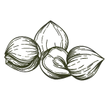 PRONUTS - Crema de frutos secos 100% natural