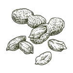 PRONUTS - Crema de frutos secos 100% natural